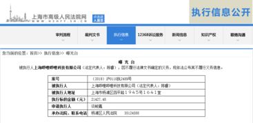 嗶哩嗶哩被上海高院列為被執行人 技術開發與法律義務的交鋒